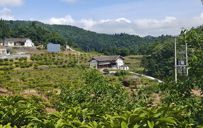 緊線器守護(hù)鄉(xiāng)村振興夢